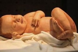 宜昌试管婴儿男宝宝的收费项目，影响宜昌试管婴儿成功率的因素